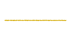店舗情報